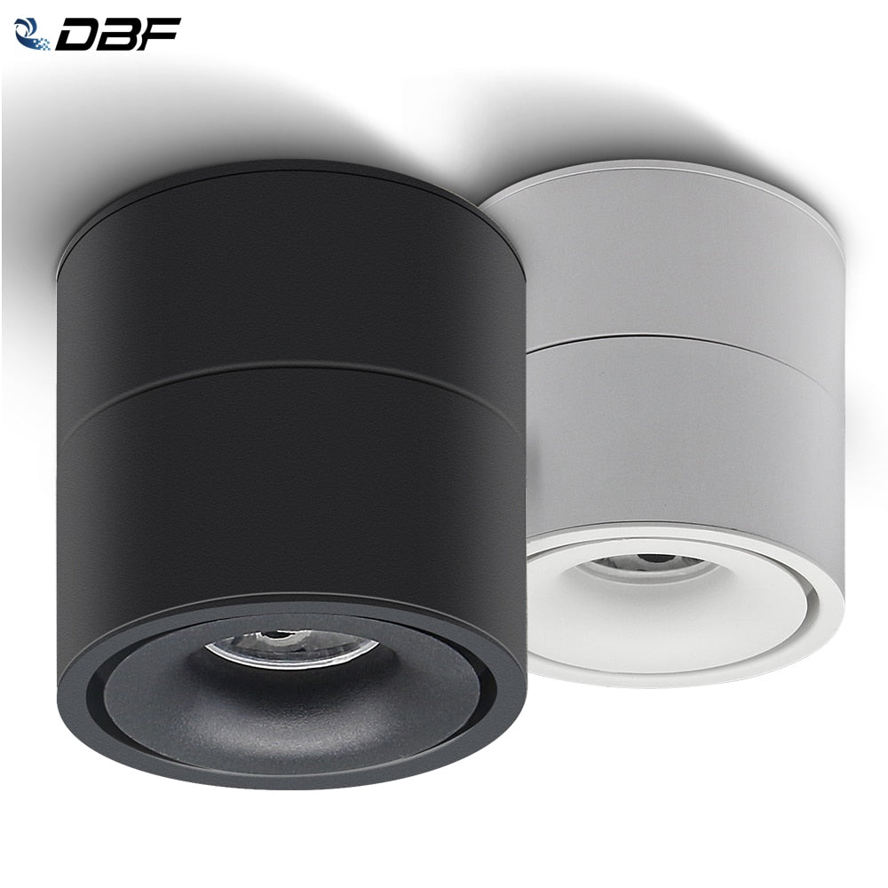DBF Angle Adjustable LED Surface Downlight 360 Degree Rotatable 7W 10W 12W 15W LED Ceiling Spot Lamp AC85-265V Indoor Lighting