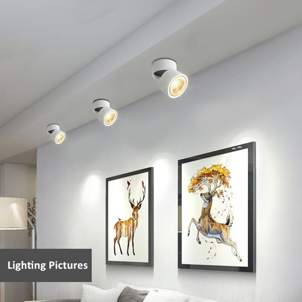 DBF Angle Adjustable LED Surface Downlight 360 Degree Rotatable 7W 10W 12W 15W LED Ceiling Spot Lamp AC85-265V Indoor Lighting