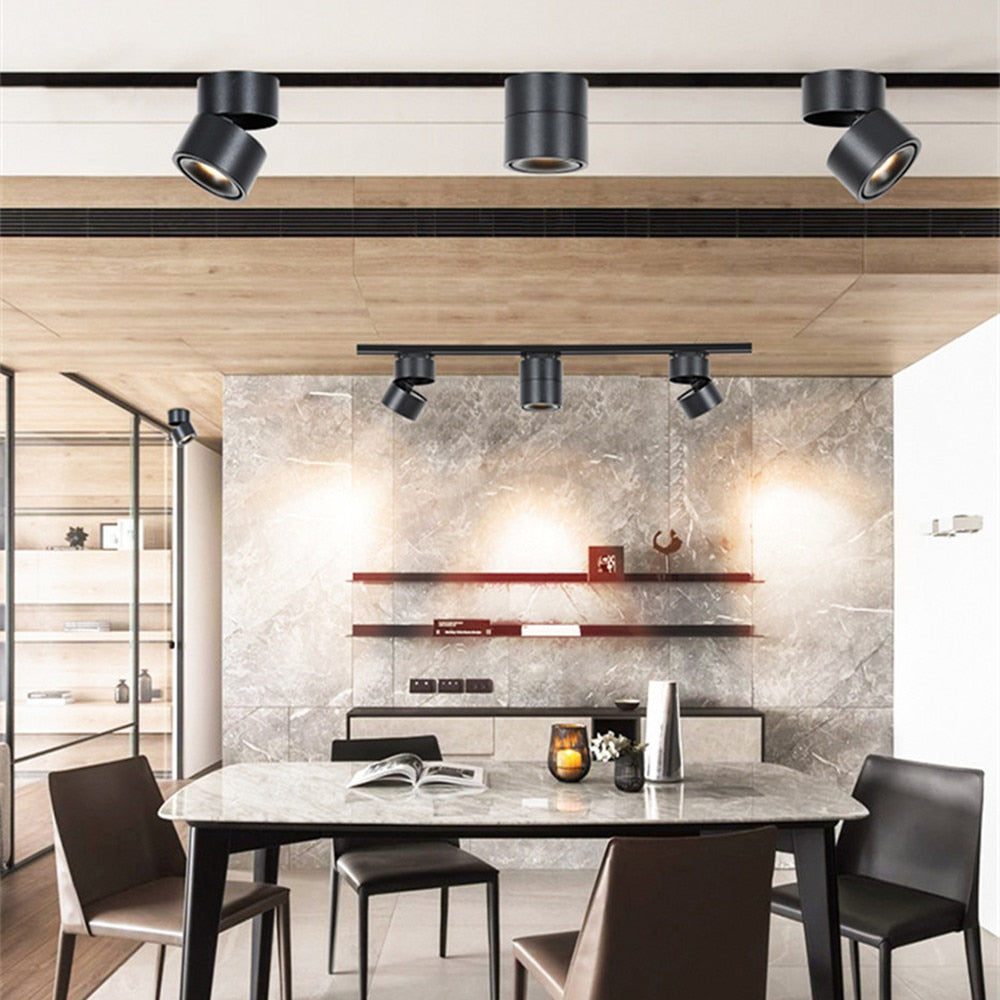 DBF Angle Adjustable LED Surface Downlight 360 Degree Rotatable 7W 10W 12W 15W LED Ceiling Spot Lamp AC85-265V Indoor Lighting