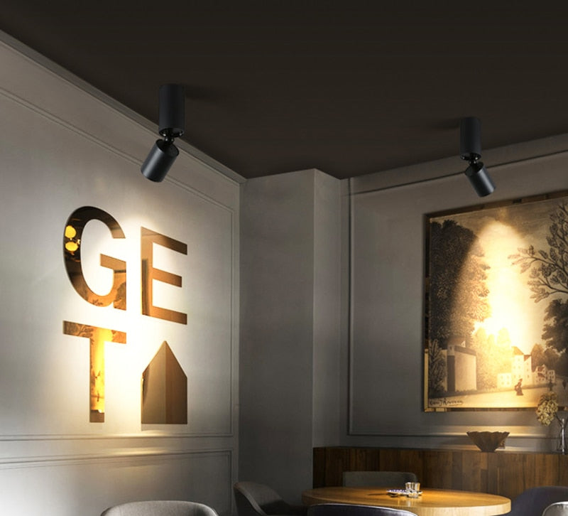 Dimmable Rotating LED Downlights 7W 12W 15W COB LED Ceiling Spot Lights AC110-220V LED Wall Lamp Warm Cold White Indoor Lighting