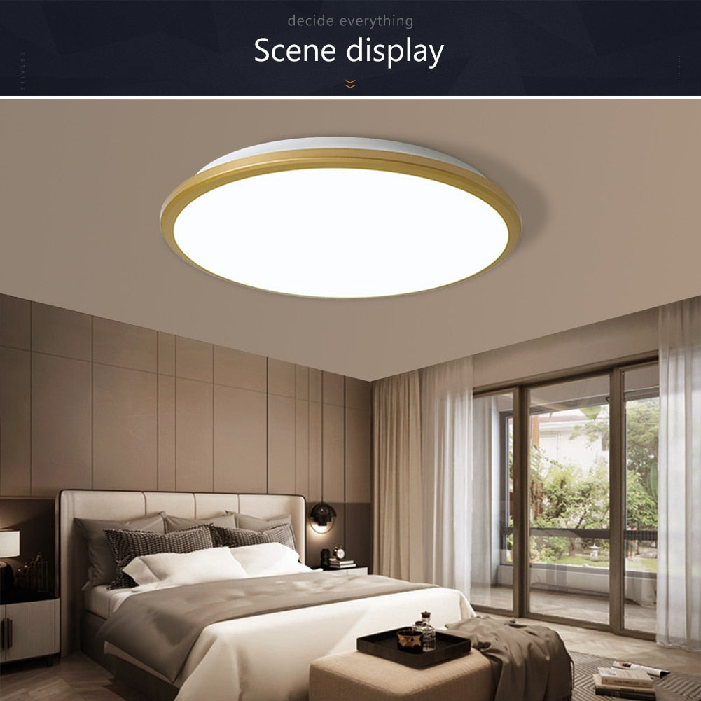 Led Ceiling Light Downlight Round 220V 12W 18W 24W 36W Modern Wall Flush Mount For Bedroom Kitchen in Living Room Outdoor lamp
