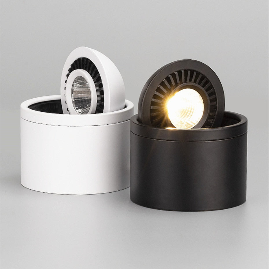 Dimmable COB LED Downlight Surface Mounted Light Fixture 360 Degree Rotating lamp for Kitchen Bathroom Living Room Bedroom