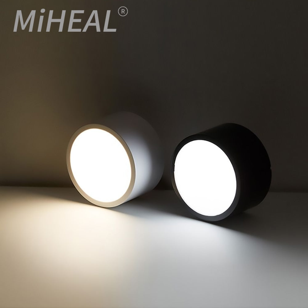 Modern Fashion LED Downlight 5W 10W 15W 25W 2pcs Surface Mounted Downlight Lights LED Spot Lights Ceiling Fixtures Lighting