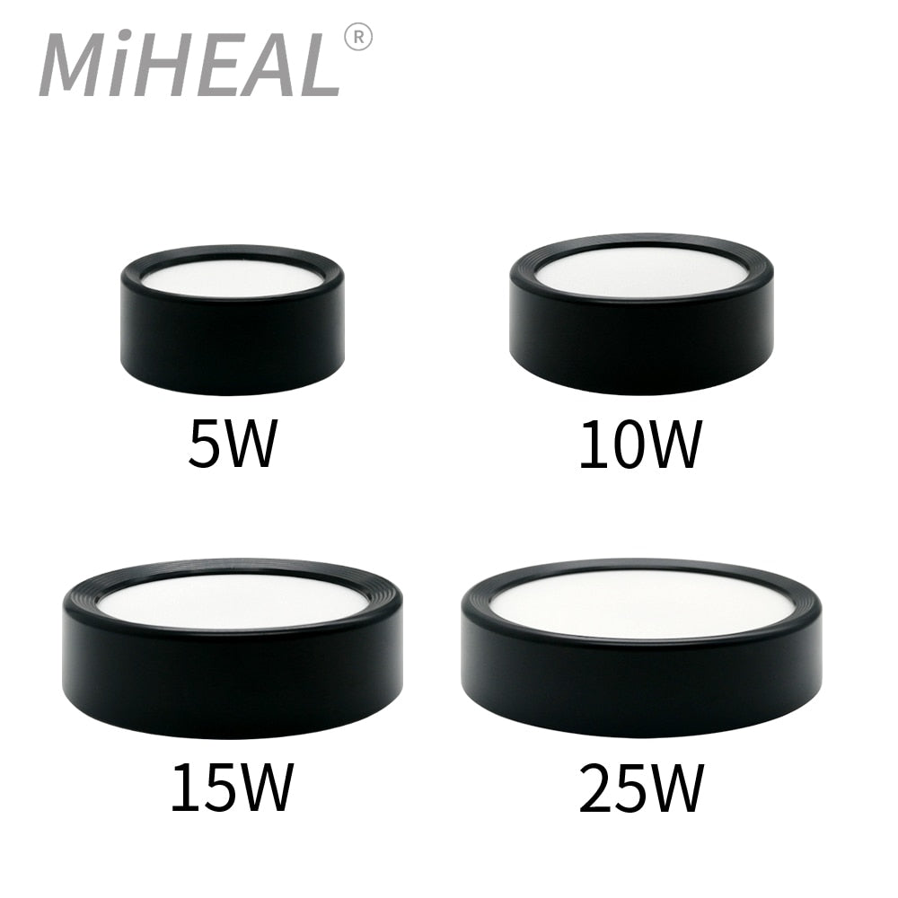 Modern Fashion LED Downlight 5W 10W 15W 25W 2pcs Surface Mounted Downlight Lights LED Spot Lights Ceiling Fixtures Lighting