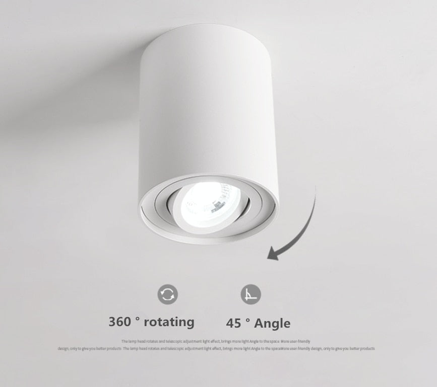 Dimmable Rotating 360° LED Downlights 10W 30W COB LED Ceiling Spot Lights GU10 Light Source LED Background Lamps Indoor Lighting