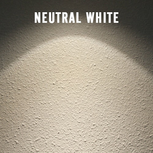 LED Downlight Rotatable Ceiling Spot Light Adjustable COB 5W 7W 12W Lamp Home Decor Showroom Clothing Store Lighting 110V 220V