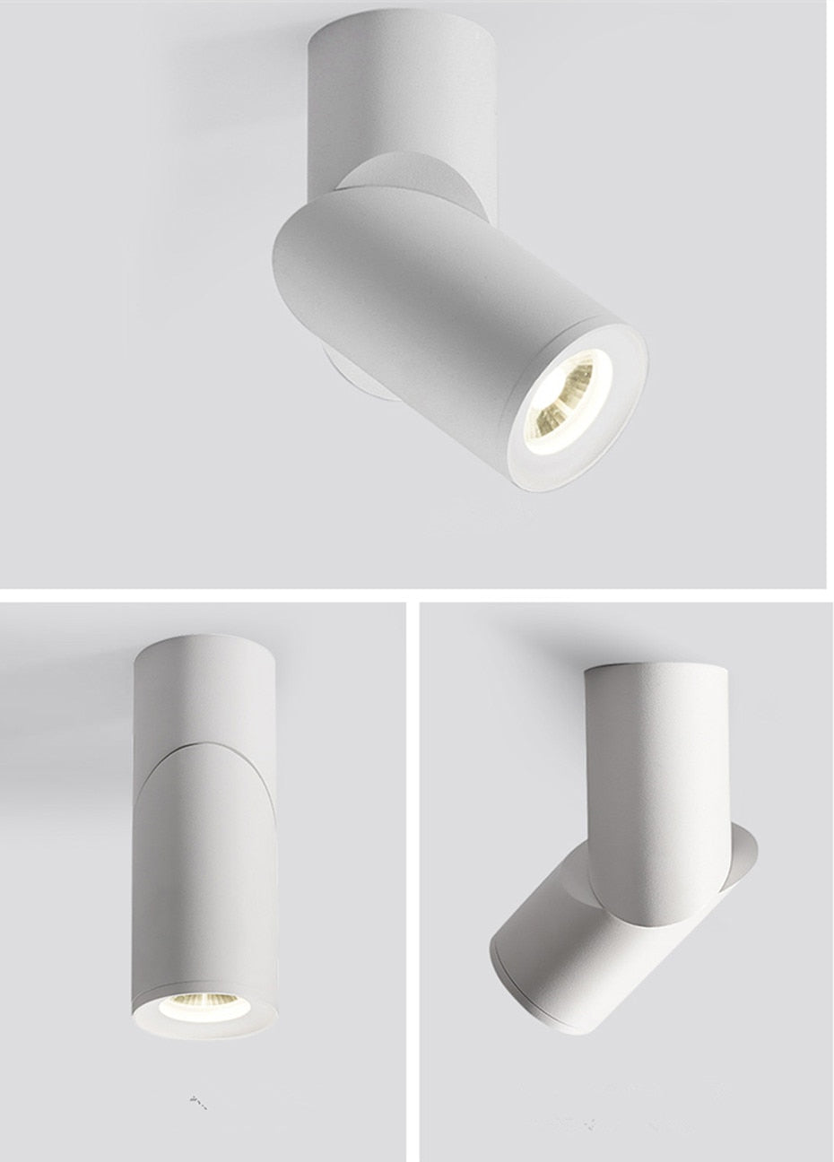 Dimmable Rotating LED Downlights 10W 15W 20W COB LED Ceiling Spot Lights AC110-220V LED Wall Lamp Warm Cold White Indoor Lighting