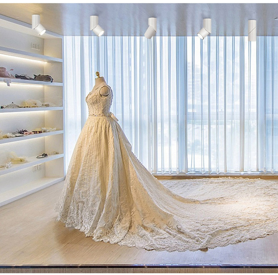 Dimmable Rotating LED Downlights 10W 15W 20W COB LED Ceiling Spot Lights AC110-220V LED Wall Lamp Warm Cold White Indoor Lighting