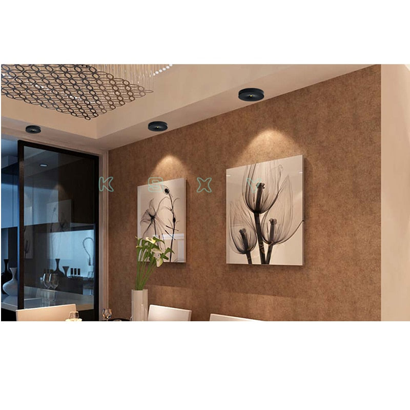 Surface Mounted LED Downlight 3W 5W 7W 220V Ceiling Lamps Ultra Thin Driverless LED Spot Lights Book Rack Lighting