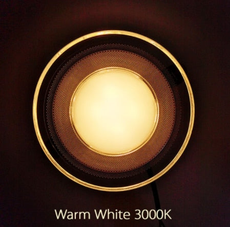 Acrylic LED Downlight 220V 5W 7W 9W 12W 15W RGB Change Recessed LED Panel Light Remote Kitchen living Indoor recessed lighting