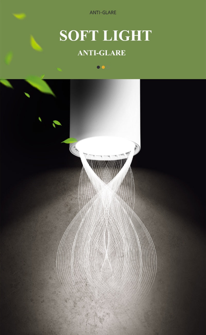 New Foldable Down Light COB Led Spotlight 7W 10W 15W Spot Lights Angle Adjustable Lamp For Home Living Room Shop Indoor Lighting