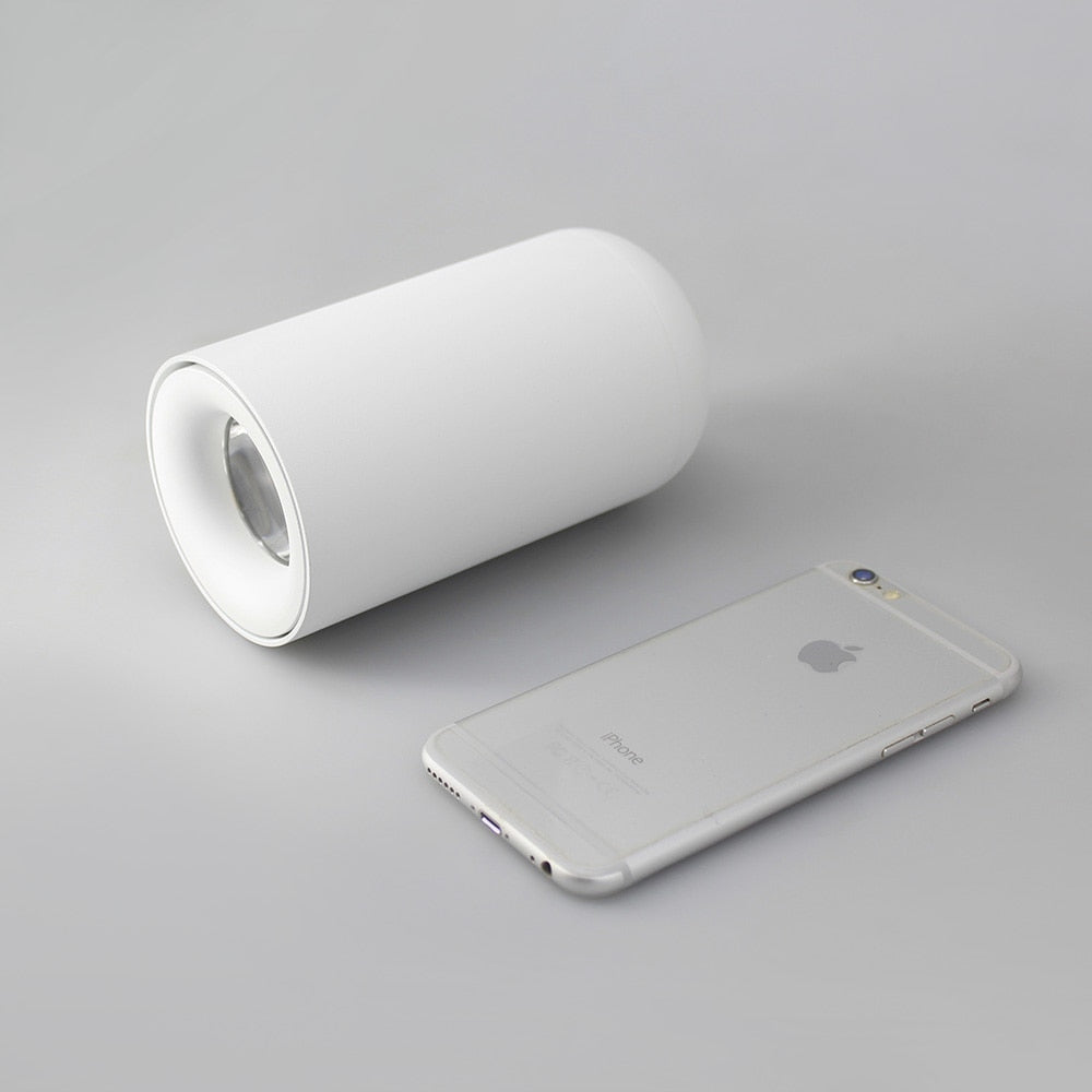 Aisilan Nordic LED Downlight Surface Mounted Ceiling Lamps AC85-260V White/Black Spot light for Living Room Bedroom Hallway