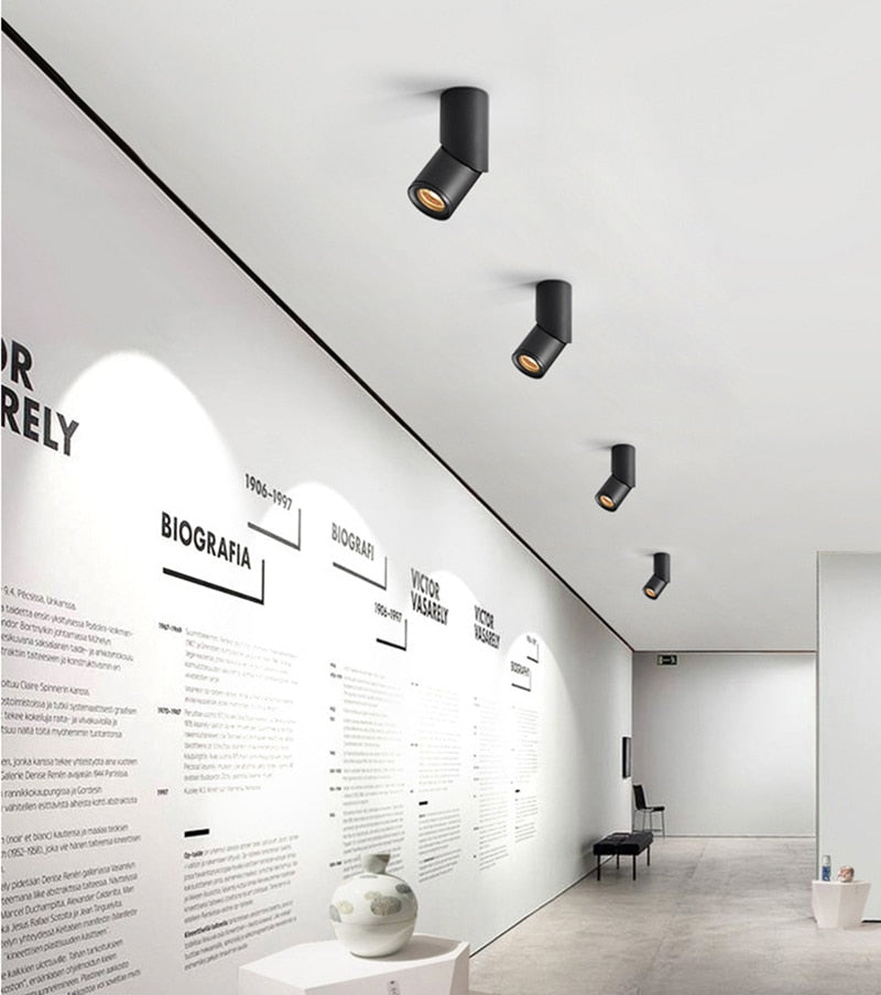 Dimmable Rotating LED Downlights 7W/9W/12W/15W/18W/20W COB LED Ceiling Spot Lights AC110-220V LED Wall Lamp Indoor Lighting