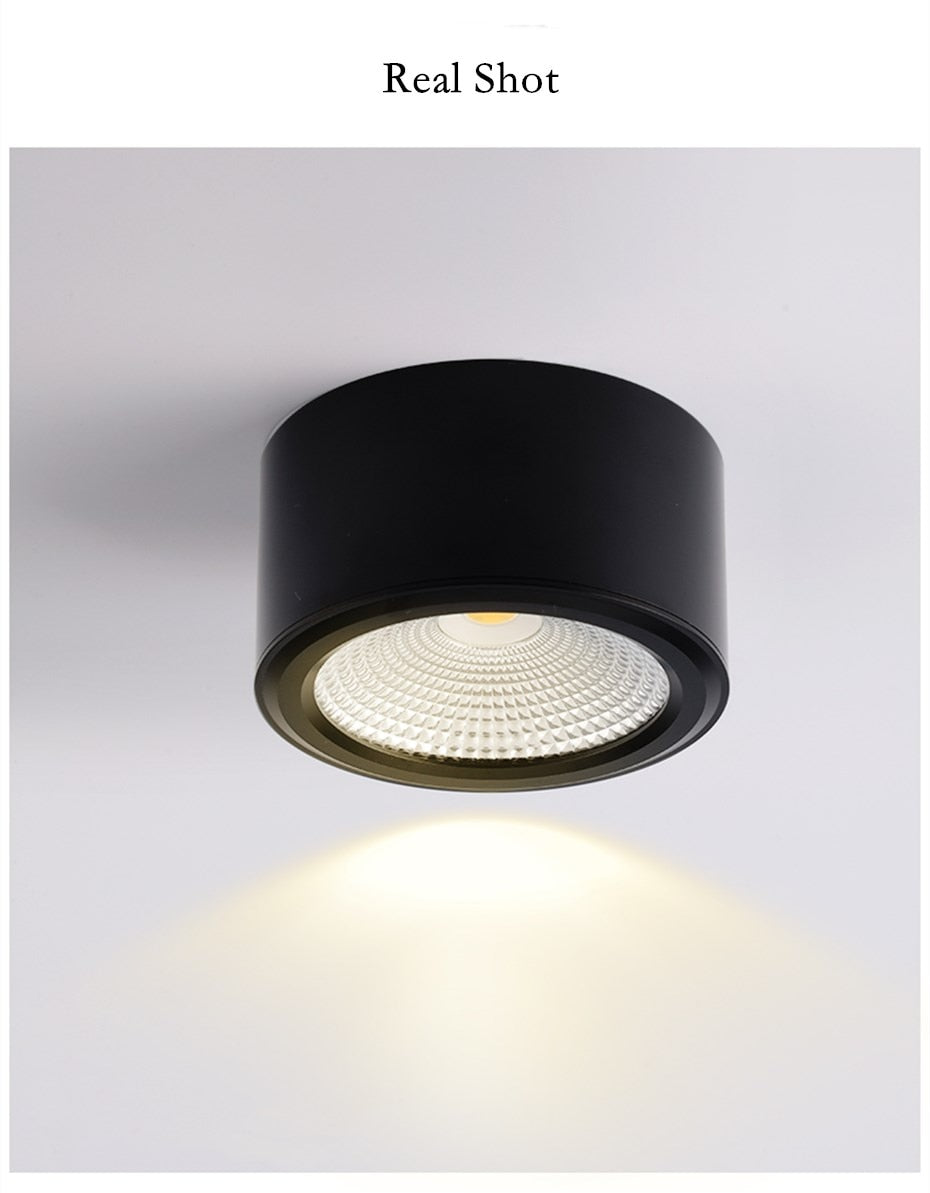 Dimmable Led Downlight Indoor Ceiling Lamp Surface Mounted Industrial Lighting 3w 5w 7w AC110V 220V For Home Bedroom Living Room