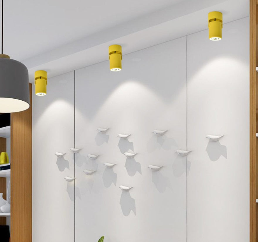 High quality dimmable Rotating LED Downlights Surface Mounted adjustment COB AC85-265V 360° LED Ceiling Lamp Spot lights