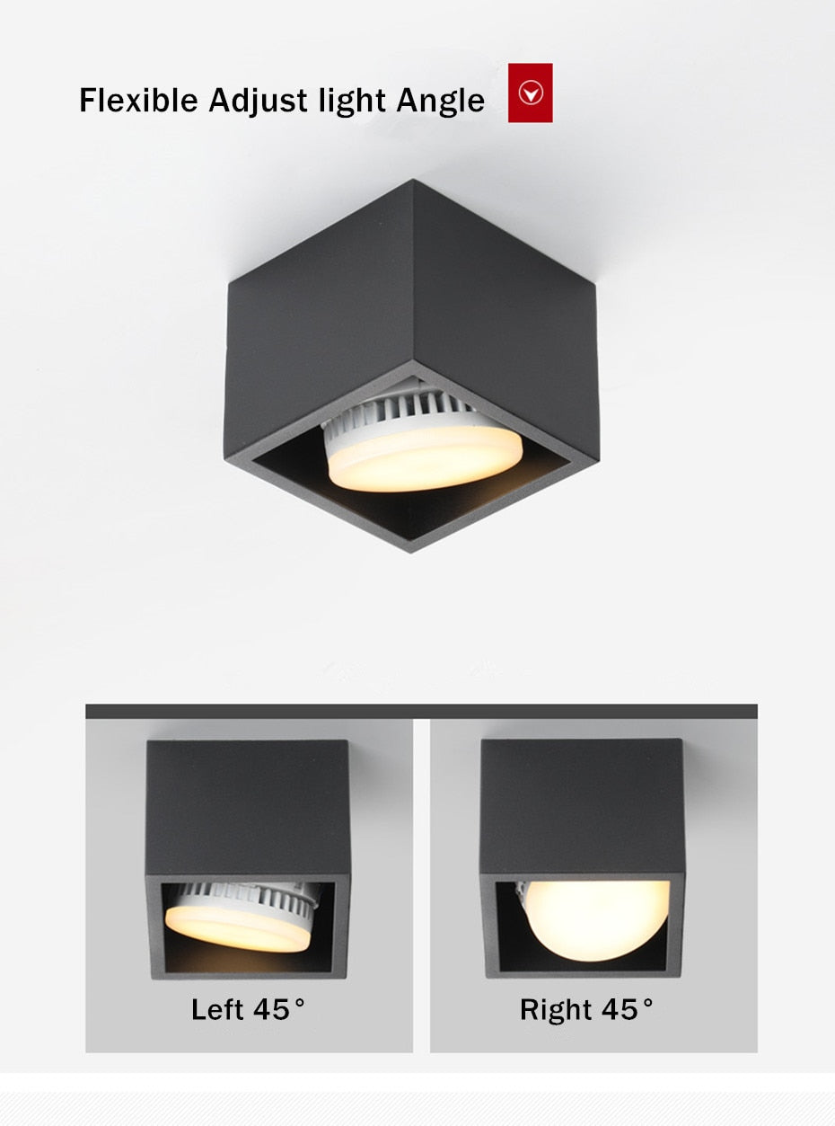 LED Ceiling lamp Surface Mounted Spot led downlight 12w 24w led bulb replaceable 45 Degree Rotation spot light for home lighting