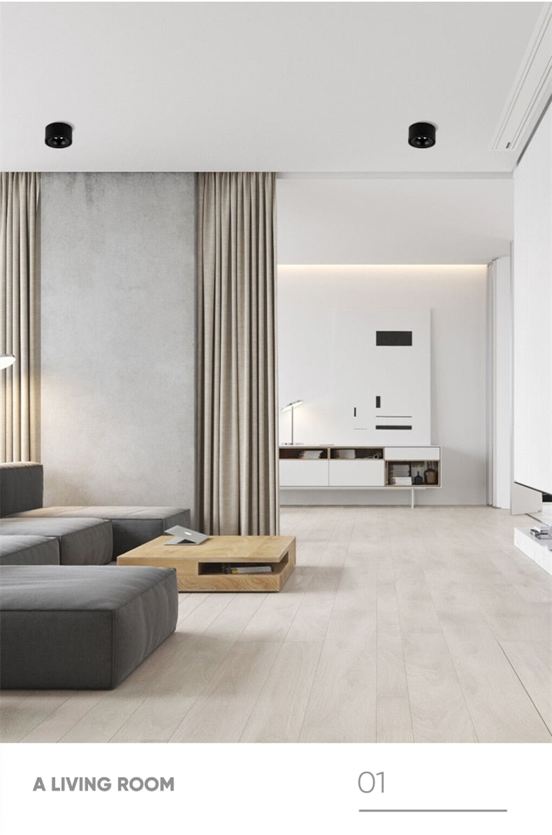 Round led downlight living room corridor aisle light without opening hole Ming mounted ceiling spotlight thin cob ceiling light