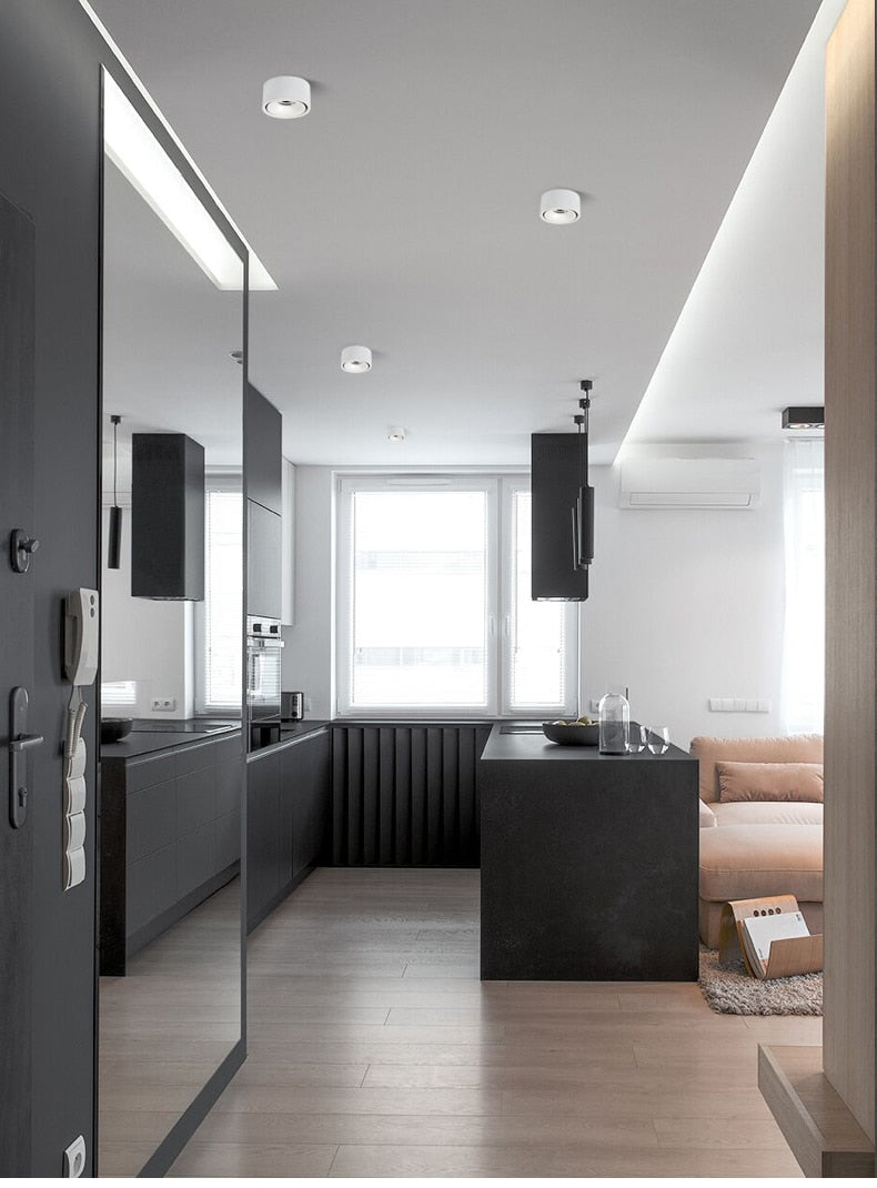 Round led downlight living room corridor aisle light without opening hole Ming mounted ceiling spotlight thin cob ceiling light