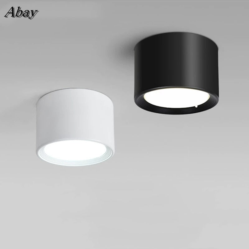 Surface Mounted Ceiling Downlight 5W 10W 15W 20W 85-265V lamp Led downlights Ceiling Spot light +led driver AC85-265V