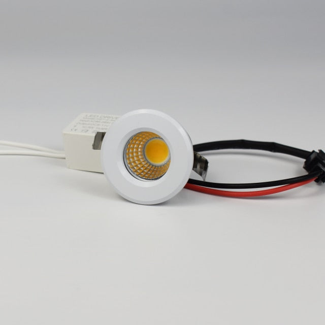Mini LED Downlight COB 3W Cut Hole 30mm Black White Silver Body AC12V 110V 220V Dust-proof anti-fog