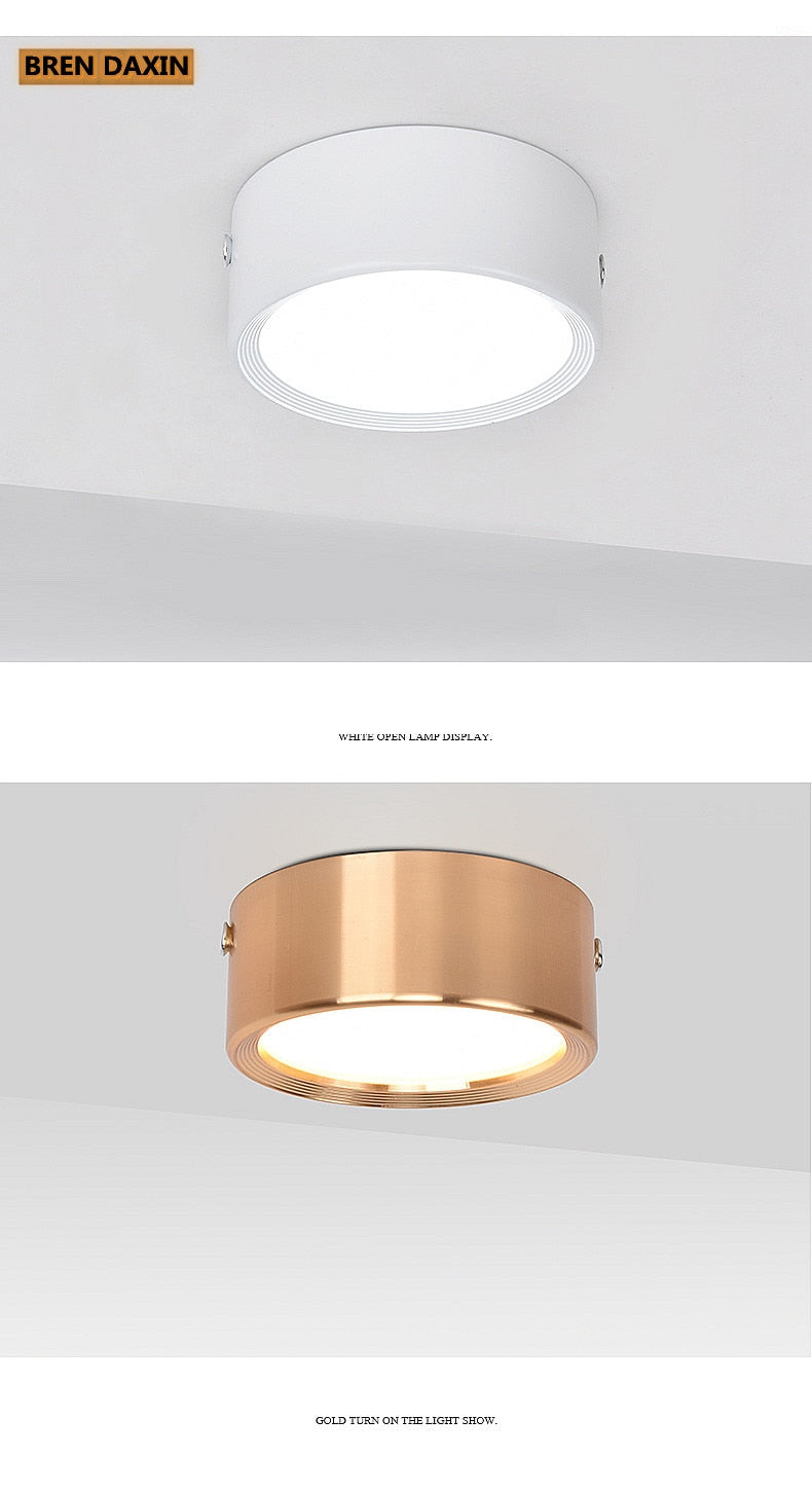 Surface mounted LED downlight spot light 3W 5W 7W 9W 12W ceiling light living room study window background wall lighting