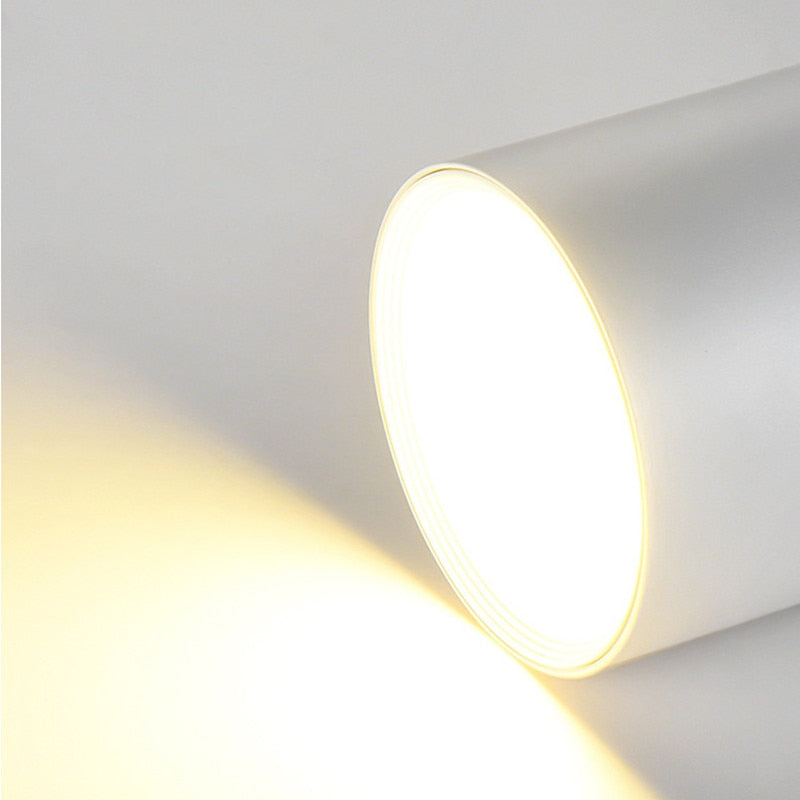 Dimmable Surface Mounted Aluminum LED Downlights 7W 9W 12W 15W 18W 24W Chip COB Ceiling Spot Lights AC85~265V home renovation