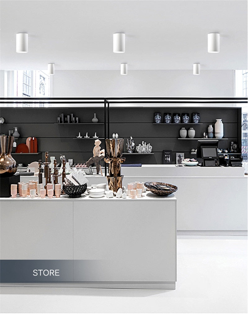 Dimmable Surface Mounted Aluminum LED Downlights 7W 9W 12W 15W 18W 24W Chip COB Ceiling Spot Lights AC85~265V home renovation