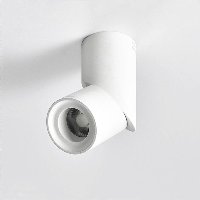 New Dimmable Rotating LED Downlights 10W 15W 20W COB LEDCeiling Spot Lights AC110-220V Warm Cold White Indoor Lighting