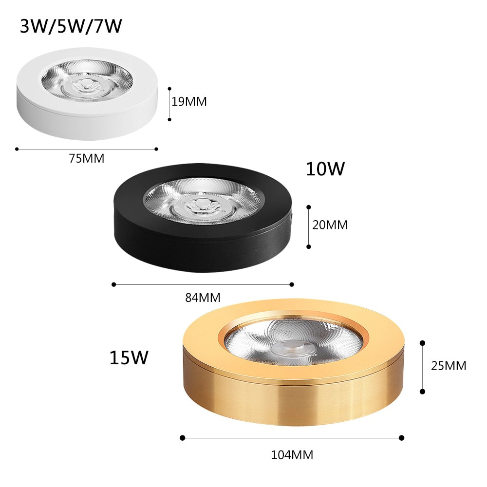 LED Spotlight Ultra-Thin 3W/5W/10W Ceiling Downlight Surface Mount Spot Lamp for Bedroom Kitchen Indoor Home Shop Display Lights