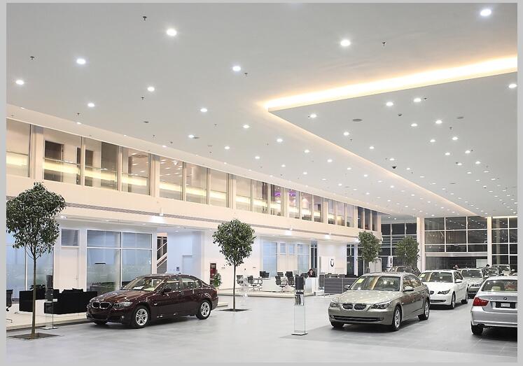 Dimmable LED Downlights 20W 30W 40W 50W 60W COB LED Recessed Ceiling Lamp Warm Cool White LED Spot Light