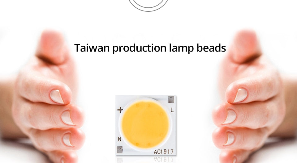 Samrt IC Ceramics LED Chip Lamp 3W 5W 7W 9W 12W 15W 20W 30W 220V COB LED Matrix Diode Array Floodlight Spotlight Downlight Bulb