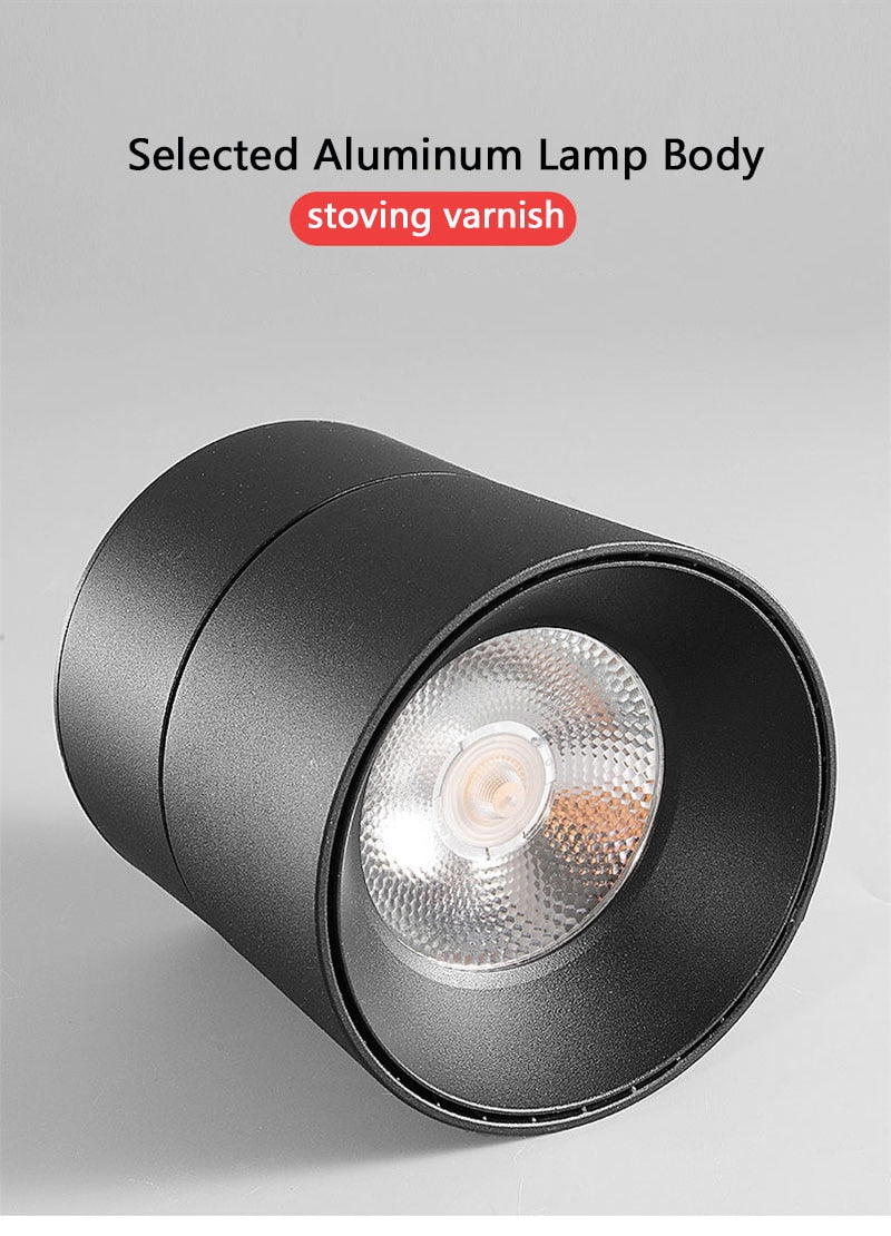Modern Simple Black and White LED downlight Aluminum small spot led light fixture 10W 20W shop & store home decor ceiling light
