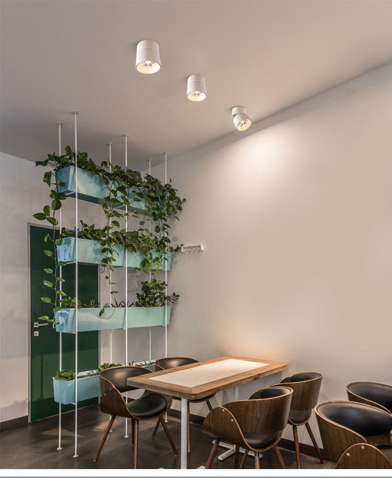 Modern Simple Black and White LED downlight Aluminum small spot led light fixture 10W 20W shop & store home decor ceiling light