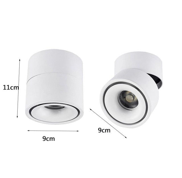 Modern Simple Black and White LED downlight Aluminum small spot led light fixture 10W 20W shop & store home decor ceiling light