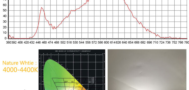 ALLCob 1pcs 5pcs 10pcs round COB chip DIY Light Source 100lm/w 60mm 42mm COB led Cold Warm Nature White for downlight