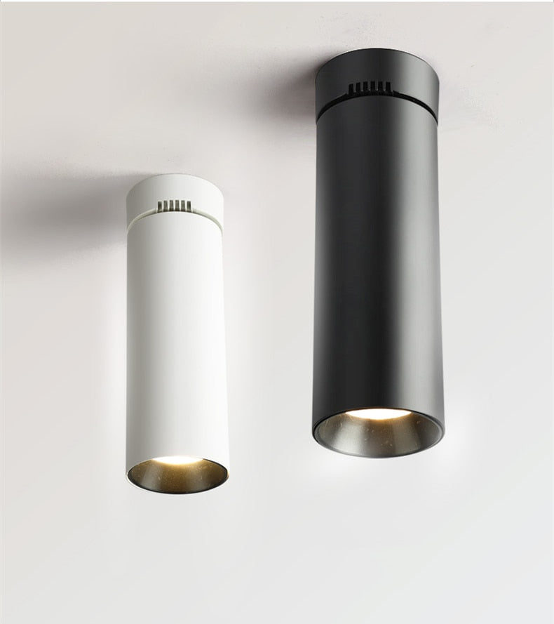 Surface Mounted LED Downlights Foldable 360° Rotatable COB LED Ceiling Spot lights 12W 15W 20W LED Lamps Background Wall Lighting