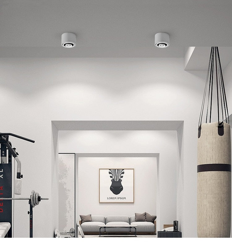 ACETIDE Dimmable Surface Mounted LED COB Downlight 5W/7W/9W/12W LED Lamp AC85V-265V Ceiling Spot Light with LED Driver