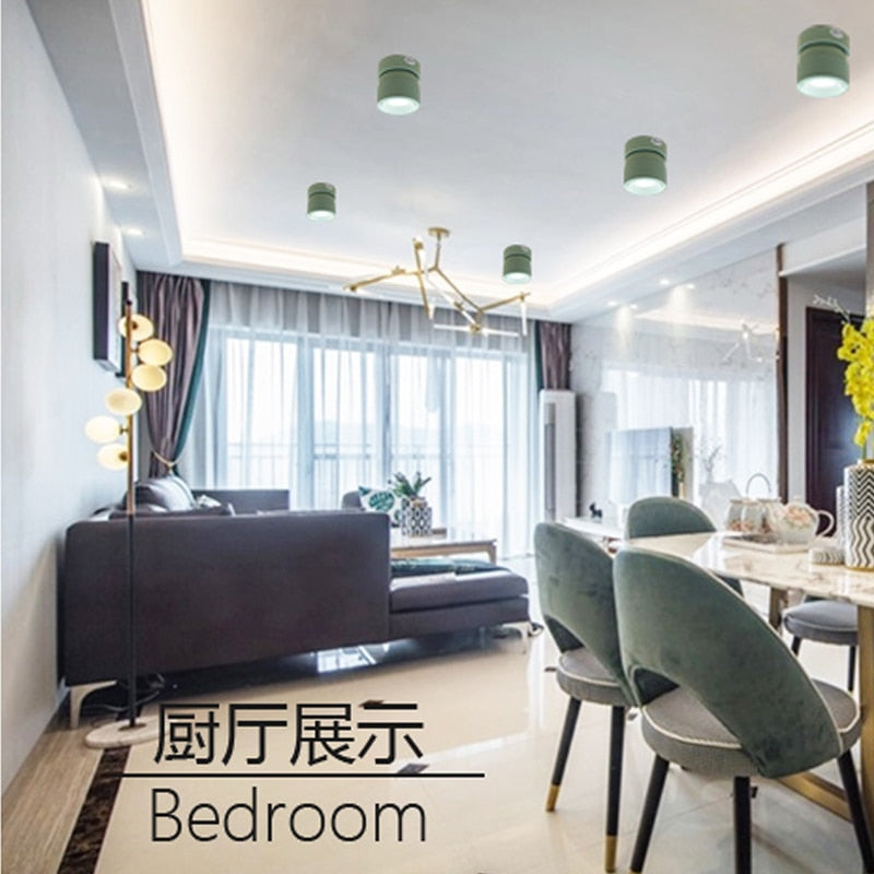 LED Downlight dimmable 10W modern Led surface mounted ceiling light spotlight interior Marca dragon Adjustable Angle