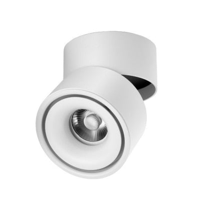 LED Dimmable Downlight 10W 12W 20W 24W 30W 36W LED Surface Mounted Spotlight LED Ceiling Lamp Lamps for Living Room