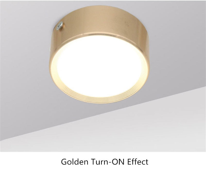 Round Led Panel Light Surface Mounted 5W 7W 9W 12W 18W Downlight ceiling down 220V lampada led lamp with LED Driver