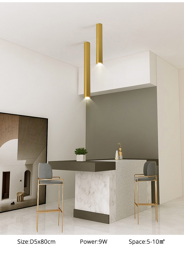 Simple New Modern LED Ceiling Lights Living Study Room Bedroom Aisle Cloakroom Indoor Lighting Downlight Dimmable Remote Lamps