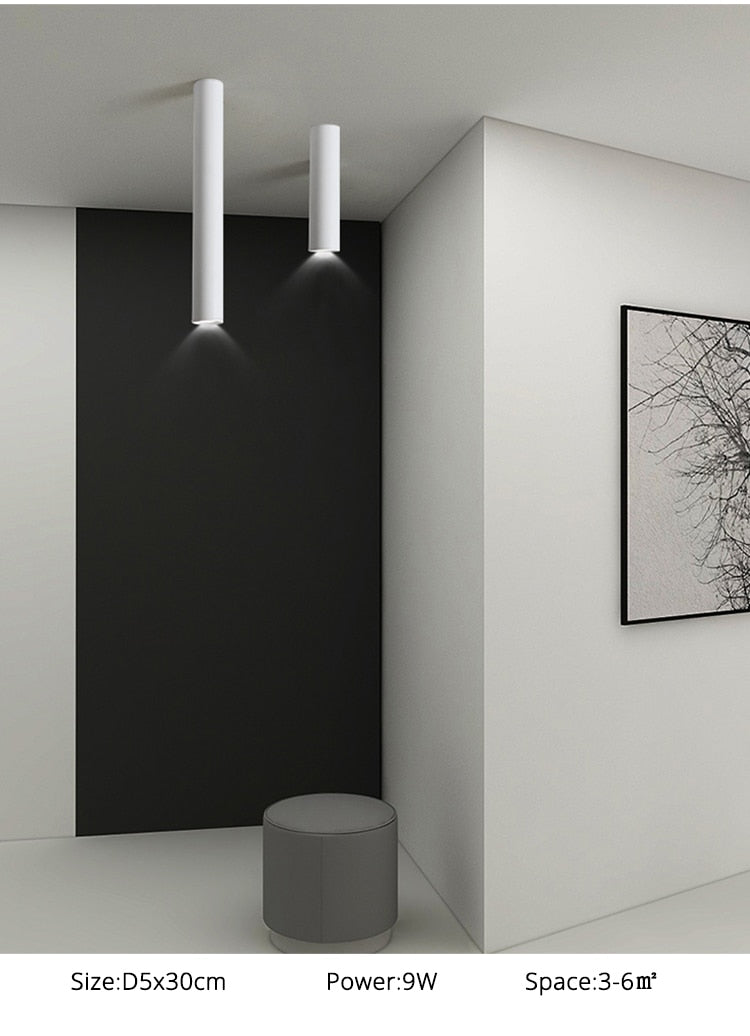 Simple New Modern LED Ceiling Lights Living Study Room Bedroom Aisle Cloakroom Indoor Lighting Downlight Dimmable Remote Lamps