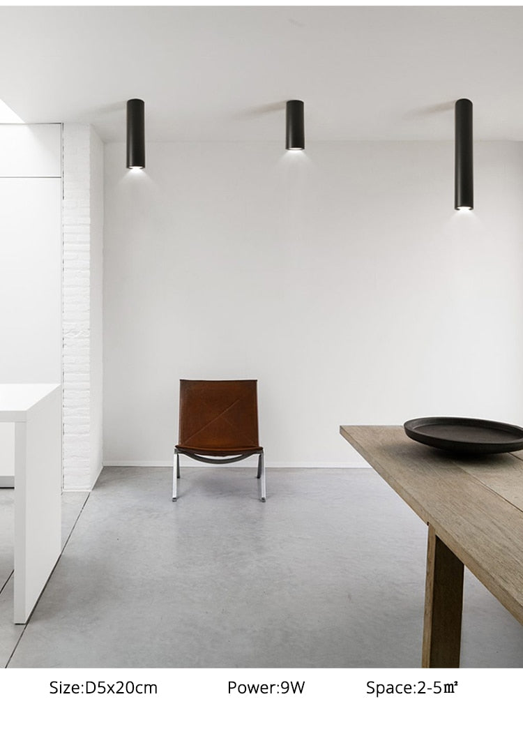 Simple New Modern LED Ceiling Lights Living Study Room Bedroom Aisle Cloakroom Indoor Lighting Downlight Dimmable Remote Lamps