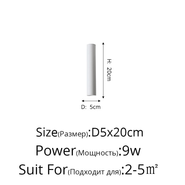 Simple New Modern LED Ceiling Lights Living Study Room Bedroom Aisle Cloakroom Indoor Lighting Downlight Dimmable Remote Lamps