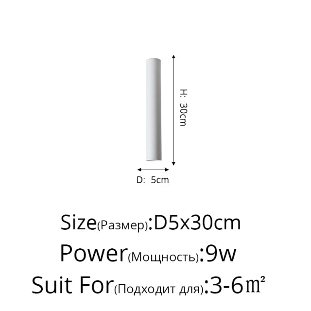 Simple New Modern LED Ceiling Lights Living Study Room Bedroom Aisle Cloakroom Indoor Lighting Downlight Dimmable Remote Lamps