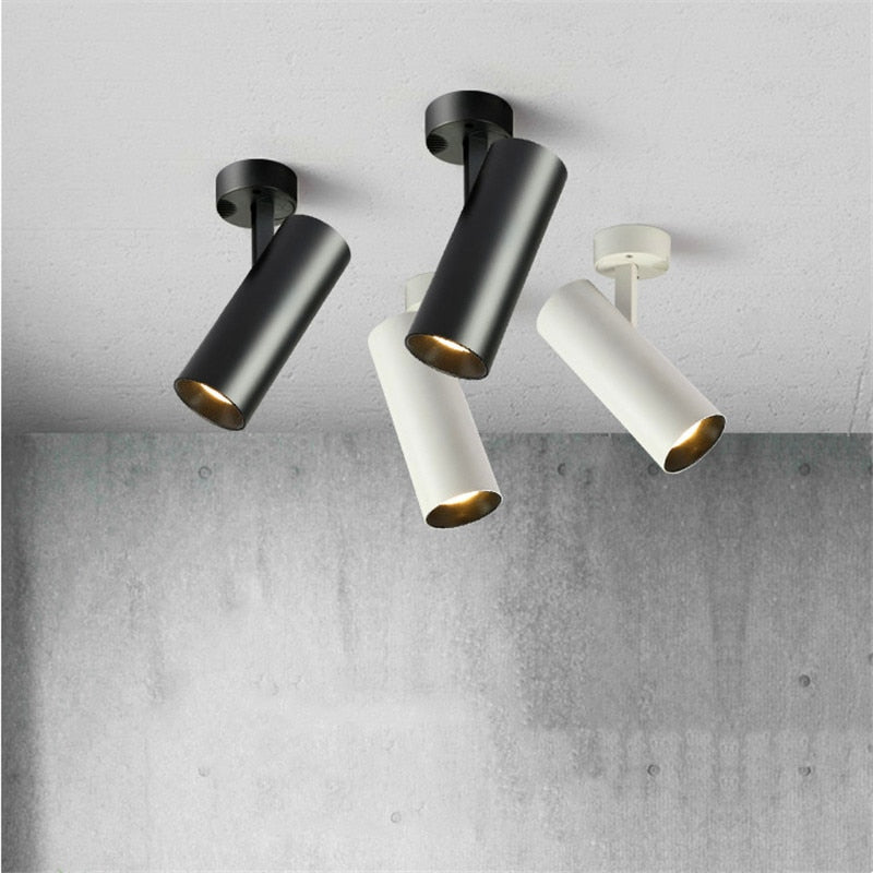 Ceiling Light 7W 12W 20W 30W COB LED Spotlight Surface Mounted Downlight Spot Lights family installation Ceiling Lamp 220V