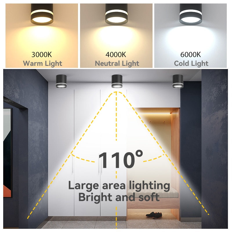 LED Downlights Light Fixture 220V 25W 15W 10W 5W Ceiling Spots Lamp Surface Mount Down Light Lighting for Home Store Downlight