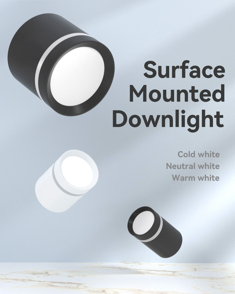 LED Downlights Light Fixture 220V 25W 15W 10W 5W Ceiling Spots Lamp Surface Mount Down Light Lighting for Home Store Downlight