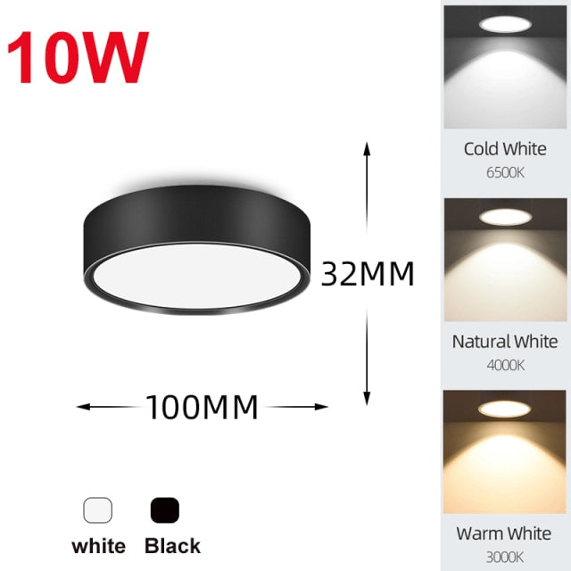 LED Downlights Light Fixture 220V 25W 15W 10W 5W Ceiling Spots Lamp Surface Mount Down Light Lighting for Home Store Downlight