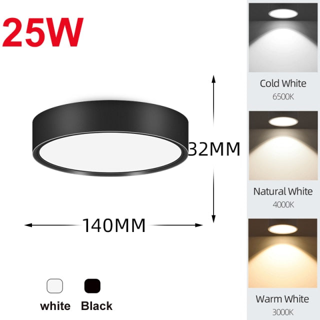 LED Downlights Light Fixture 220V 25W 15W 10W 5W Ceiling Spots Lamp Surface Mount Down Light Lighting for Home Store Downlight